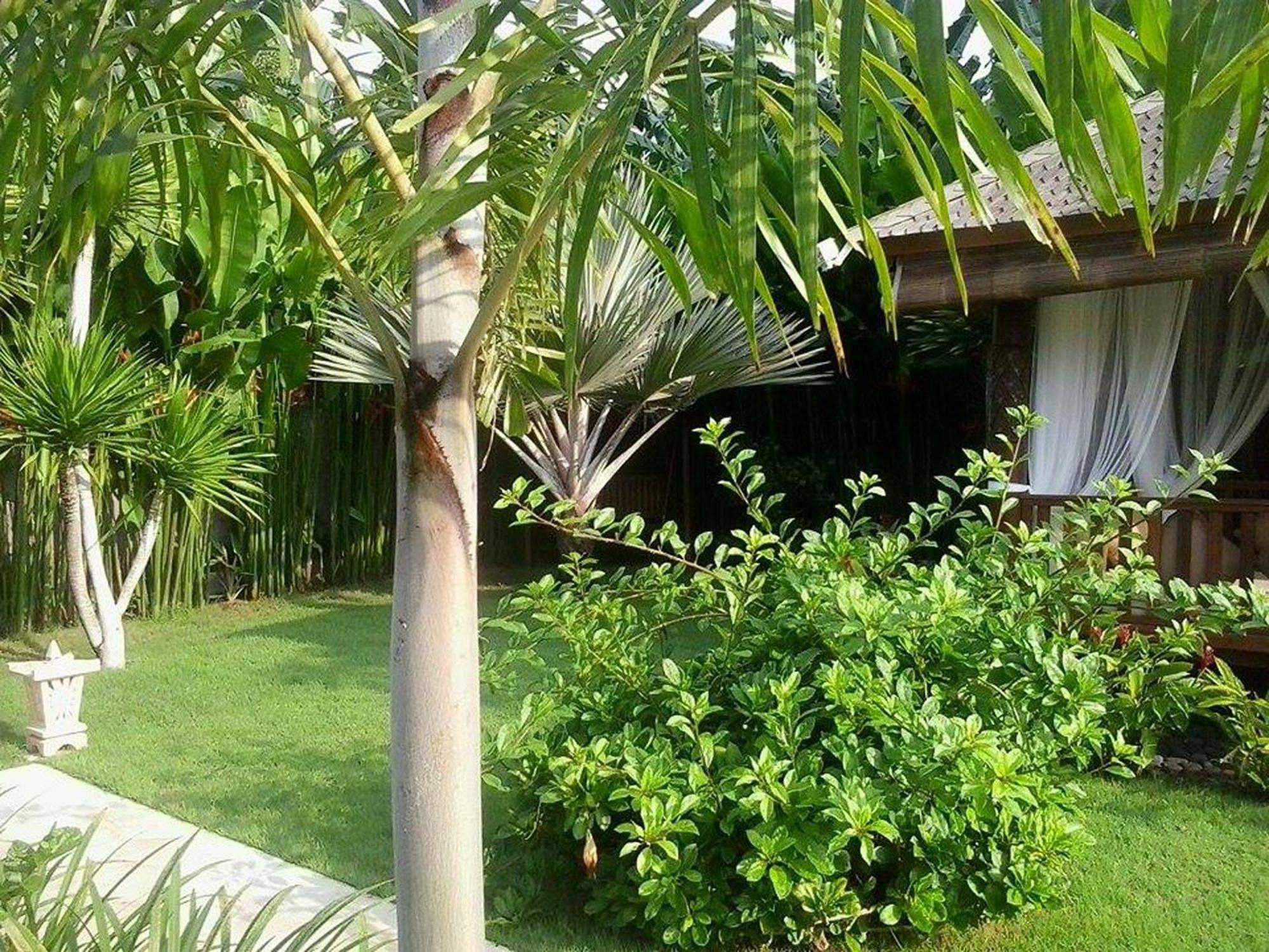 Villa Gusmania Candi Dasa  Bilik gambar